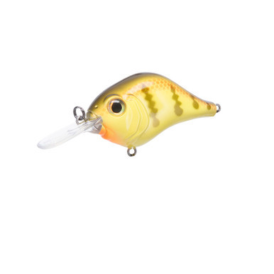 Mid-Range MR-6 Crankbait - Rat-L-Trap