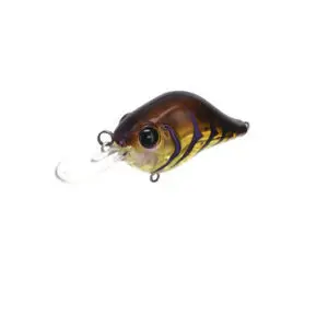 best fishing pole for catching 60 lb catfish Top 5 Fishing Rod and Reel Combos for Catfishing 2025  KastKing