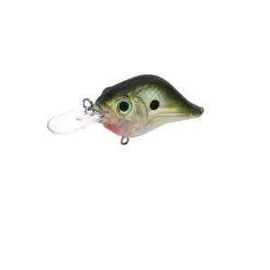 Mid-Range MR-6 Crankbait - Rat-L-Trap